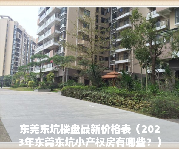 东莞东坑楼盘最新价格表（2023年东莞东坑小产权房有哪些？）(东莞东坑新楼盘2020开盘)