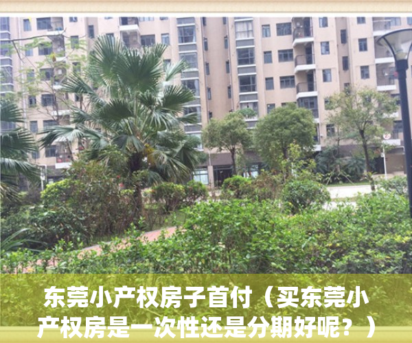 东莞小产权房子首付（买东莞小产权房是一次性还是分期好呢？）(东莞小产权房最低特价)