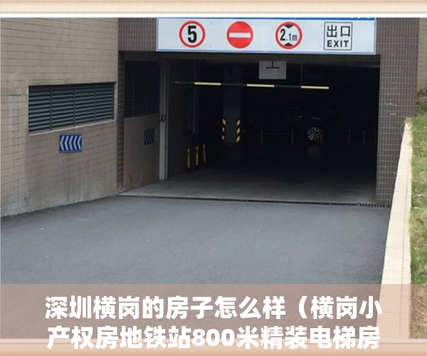 深圳横岗的房子怎么样（横岗小产权房地铁站800米精装电梯房【康城学府】三房首付50万起）