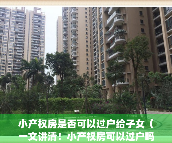 小产权房是否可以过户给子女（一文讲清！小产权房可以过户吗？）(小产权房子可以过户给未成年孩子吗)