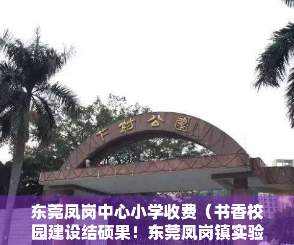东莞凤岗中心小学收费（书香校园建设结硕果！东莞凤岗镇实验小学“凤翔队”夺得团体冠军）