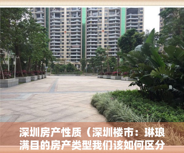 深圳房产性质（深圳楼市：琳琅满目的房产类型我们该如何区分？是否可以买？）