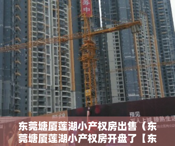 东莞塘厦莲湖小产权房出售（东莞塘厦莲湖小产权房开盘了【东湖苑】 精装两房 338万套起 带天燃气）