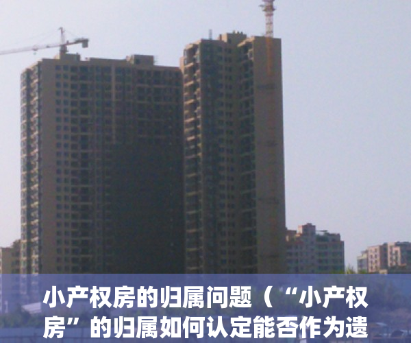 小产权房的归属问题（“小产权房”的归属如何认定能否作为遗产继承）(小产权的房子属于什么性质)