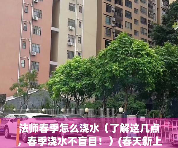 法师春季怎么浇水（了解这几点，春季浇水不盲目！）(春天新上盆的法师多久浇水)