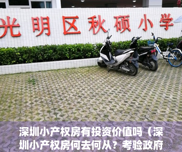 深圳小产权房有投资价值吗（深圳小产权房何去何从？考验政府智慧）(深圳小产权房还有升值空间吗)