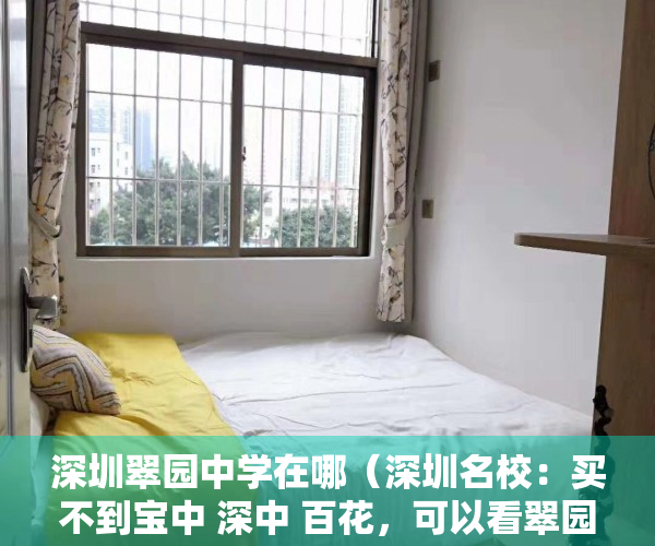 深圳翠园中学在哪（深圳名校：买不到宝中 深中 百花，可以看翠园中学 总价三字头起）