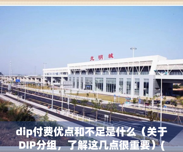 dip付费优点和不足是什么（关于DIP分组，了解这几点很重要）(dip付费的定义)