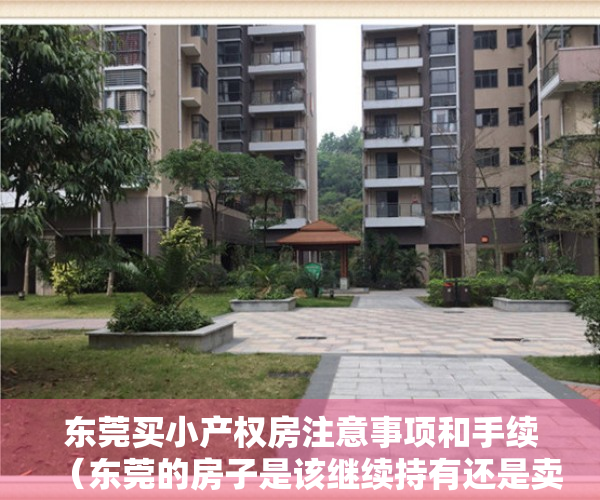 东莞买小产权房注意事项和手续（东莞的房子是该继续持有还是卖掉买深圳的小产权？）
