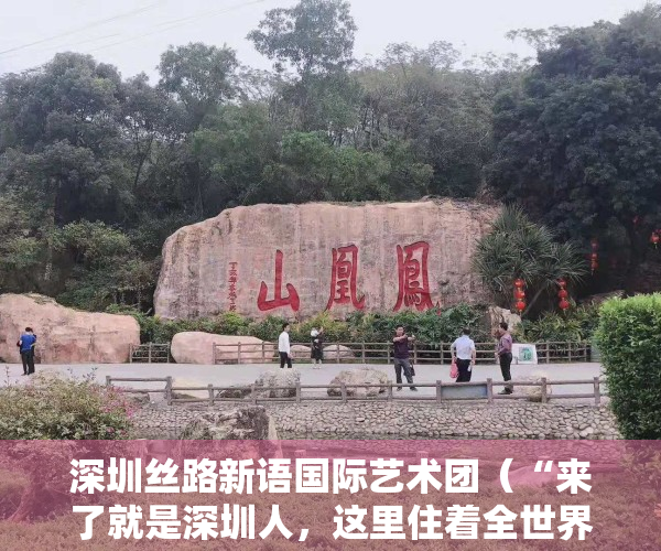 深圳丝路新语国际艺术团（“来了就是深圳人，这里住着全世界” 深圳市丝路新语艺术团多国语种唱响深圳故事）