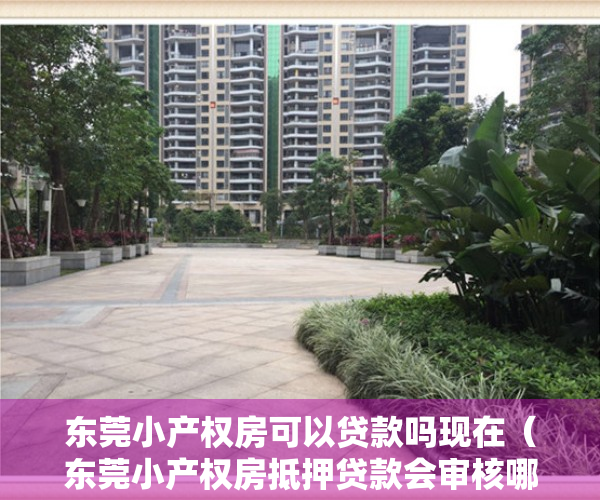 东莞小产权房可以贷款吗现在（东莞小产权房抵押贷款会审核哪些条件？）