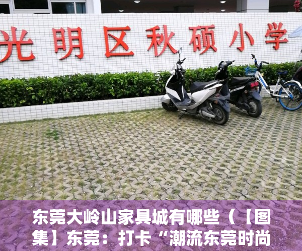东莞大岭山家具城有哪些（【图集】东莞：打卡“潮流东莞时尚家居”大岭山家具工业旅游路线）