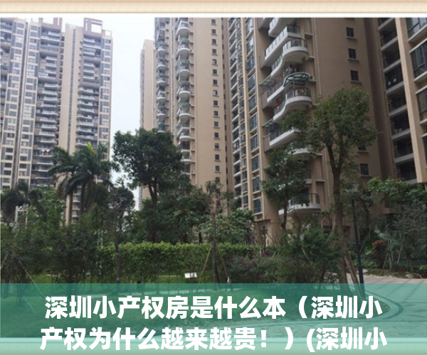 深圳小产权房是什么本（深圳小产权为什么越来越贵！）(深圳小产权是合法产权嘛)