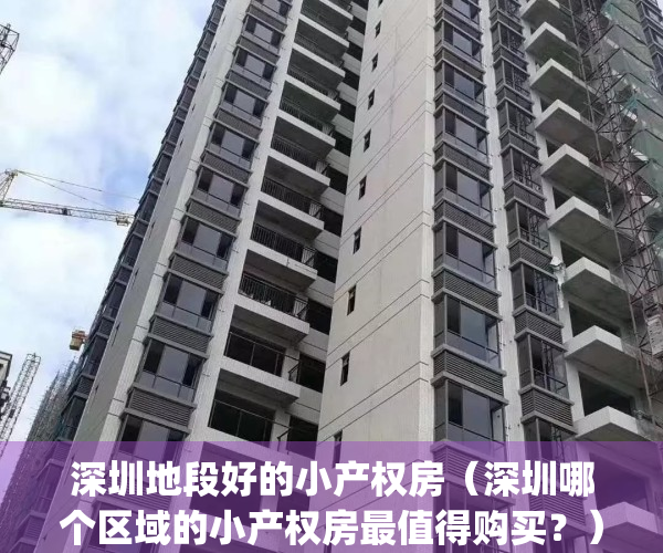 深圳地段好的小产权房（深圳哪个区域的小产权房最值得购买？）(深圳小产权小区排名)