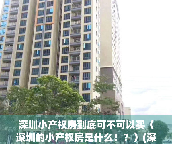 深圳小产权房到底可不可以买（深圳的小产权房是什么！？）(深圳小产权房能不能买?)