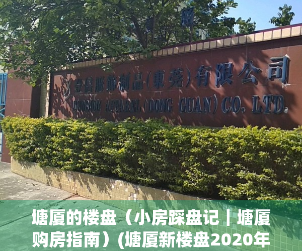 塘厦的楼盘（小房踩盘记｜塘厦购房指南）(塘厦新楼盘2020年)
