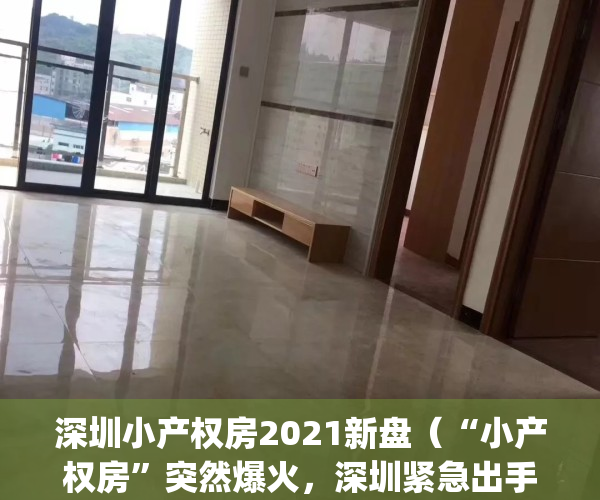 深圳小产权房2021新盘（“小产权房”突然爆火，深圳紧急出手了！）(深圳小产权房近况)