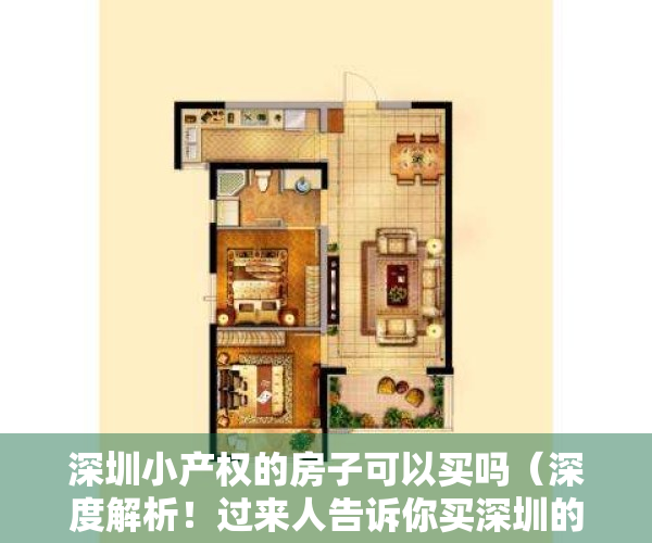 深圳小产权的房子可以买吗（深度解析！过来人告诉你买深圳的小产权房可行吗？）