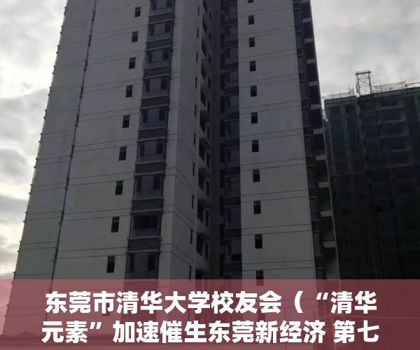 东莞市清华大学校友会（“清华元素”加速催生东莞新经济 第七届清华校友三创大赛系列活动举行）