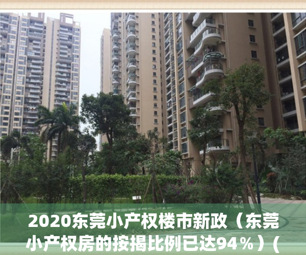 2020东莞小产权楼市新政（东莞小产权房的按揭比例已达94％）(东莞小产权房多少钱一套)