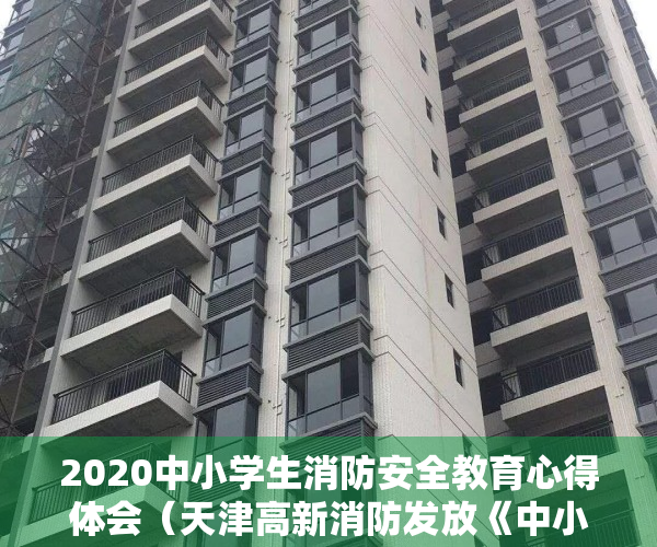 2020中小学生消防安全教育心得体会（天津高新消防发放《中小学生消防安全教育手册》让安全走进校园）