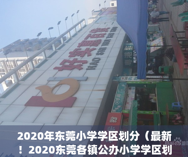 2020年东莞小学学区划分（最新！2020东莞各镇公办小学学区划分方案）(东莞小学划片)