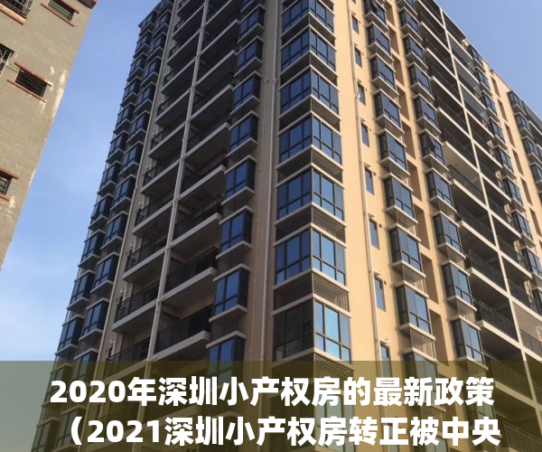 2020年深圳小产权房的最新政策（2021深圳小产权房转正被中央叫停）(深圳关于小产权房新政策)
