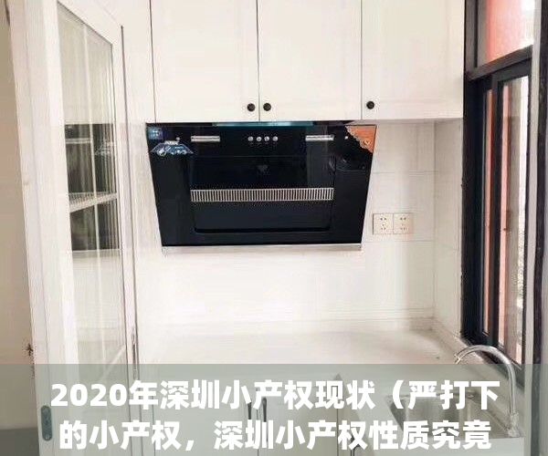 2020年深圳小产权现状（严打下的小产权，深圳小产权性质究竟分几种？）(深圳的小产权最近动态)