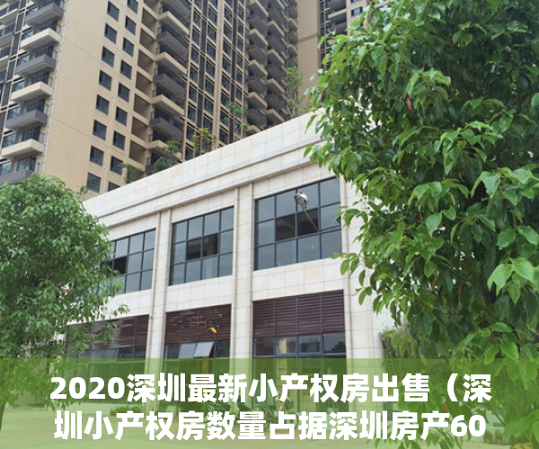 2020深圳最新小产权房出售（深圳小产权房数量占据深圳房产60％以上，解决了深圳许多人的）