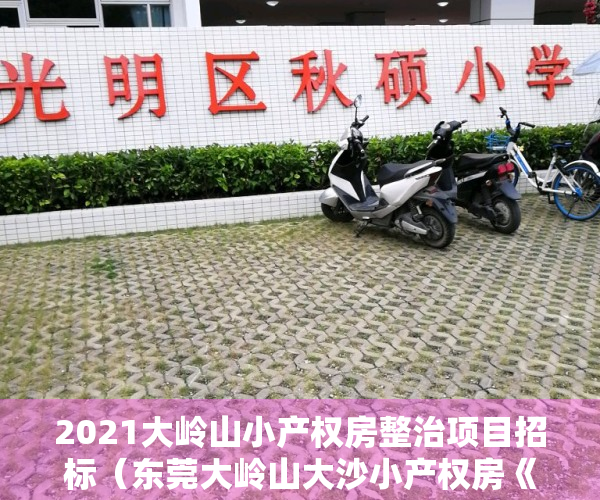 2021大岭山小产权房整治项目招标（东莞大岭山大沙小产权房《鸿图公馆》​双地铁口物业 大岭山站500米 三房248万套起 周边配套—应有尽有）