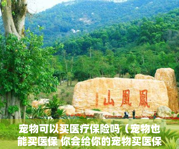 宠物可以买医疗保险吗（宠物也能买医保 你会给你的宠物买医保吗？）