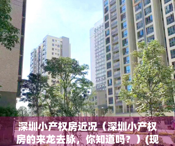 深圳小产权房近况（深圳小产权房的来龙去脉，你知道吗？）(现在深圳小产权房的价格是多少)