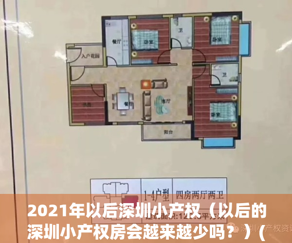 2021年以后深圳小产权（以后的深圳小产权房会越来越少吗？）(2021深圳小产权房会涨价吗)