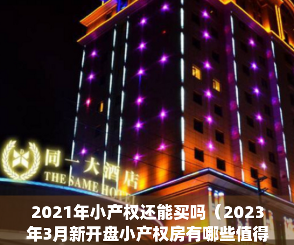 2021年小产权还能买吗（2023年3月新开盘小产权房有哪些值得入手）(2021年小产权房子能买吗)