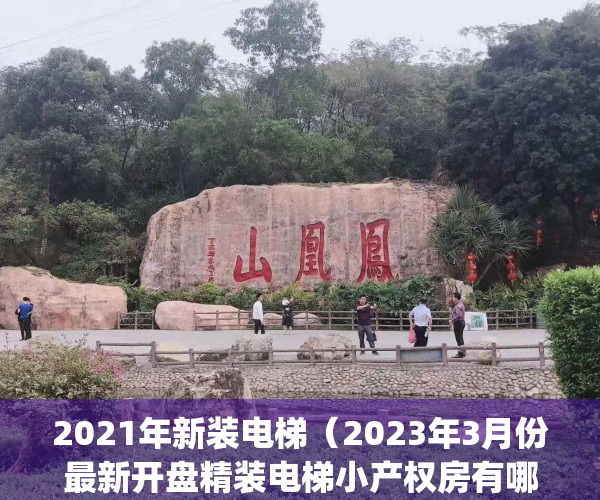 2021年新装电梯（2023年3月份最新开盘精装电梯小产权房有哪些）(2022加装电梯)