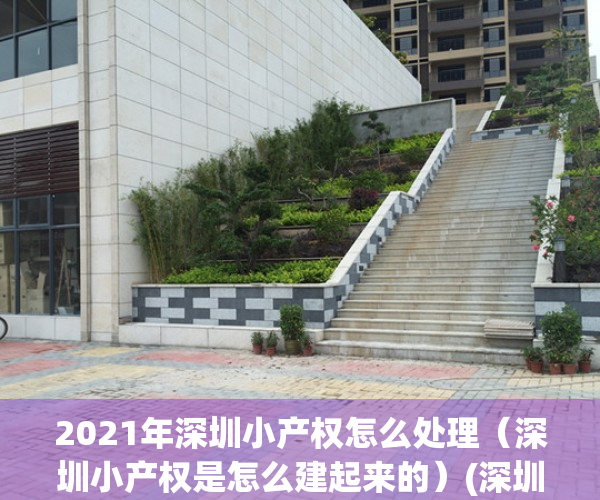 2021年深圳小产权怎么处理（深圳小产权是怎么建起来的）(深圳对小产权房的处理办法)