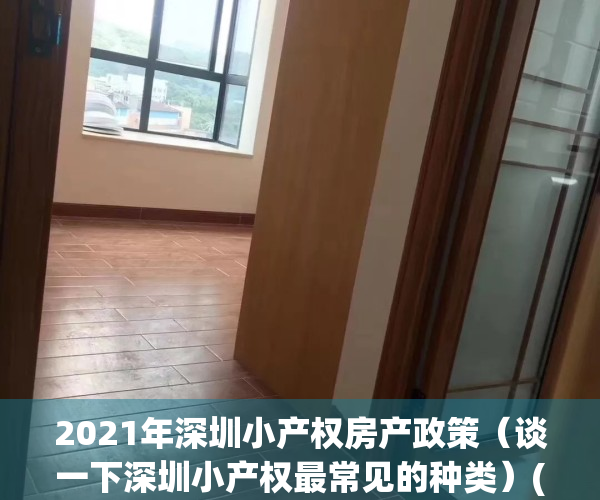 2021年深圳小产权房产政策（谈一下深圳小产权最常见的种类）(2021年深圳小产权房新政策)