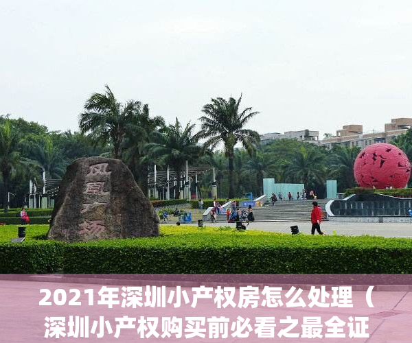 2021年深圳小产权房怎么处理（深圳小产权购买前必看之最全证件！）(深圳小产权房何去何从)