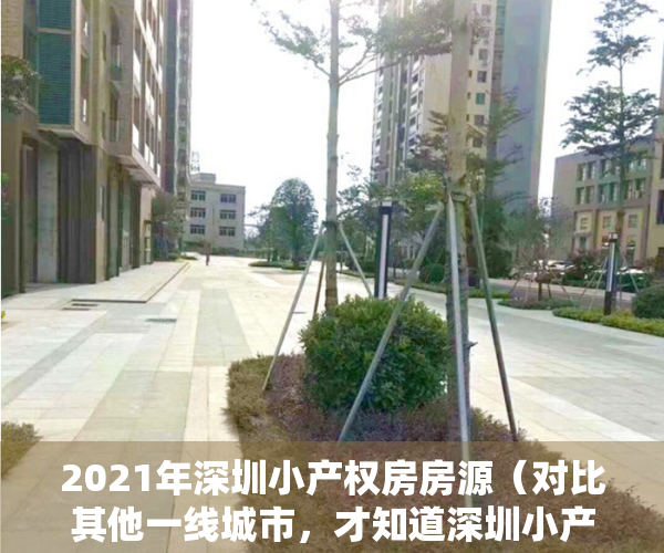 2021年深圳小产权房房源（对比其他一线城市，才知道深圳小产权房的低租金留住了大部分人）