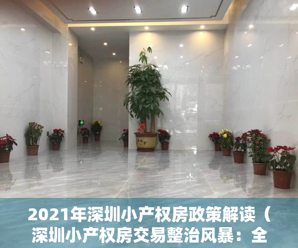 2021年深圳小产权房政策解读（深圳小产权房交易整治风暴：全市房源急下架，中介门店被查封）