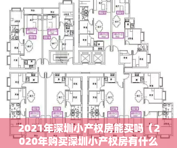 2021年深圳小产权房能买吗（2020年购买深圳小产权房有什么优势？）(2020深圳小产权房可以买吗)