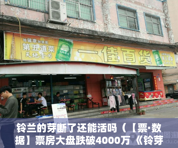 铃兰的芽断了还能活吗（【票·数据】票房大盘跌破4000万 《铃芽》创三年来进口动画最好成绩 人次超日本 《保你平安》与冠军差距不足500万）