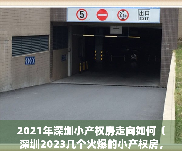2021年深圳小产权房走向如何（深圳2023几个火爆的小产权房，值得看看）(专家谈深圳小产权房的未来)