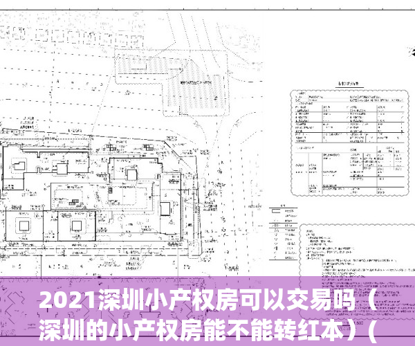 2021深圳小产权房可以交易吗（深圳的小产权房能不能转红本）(深圳小产权房还可以交易吗)
