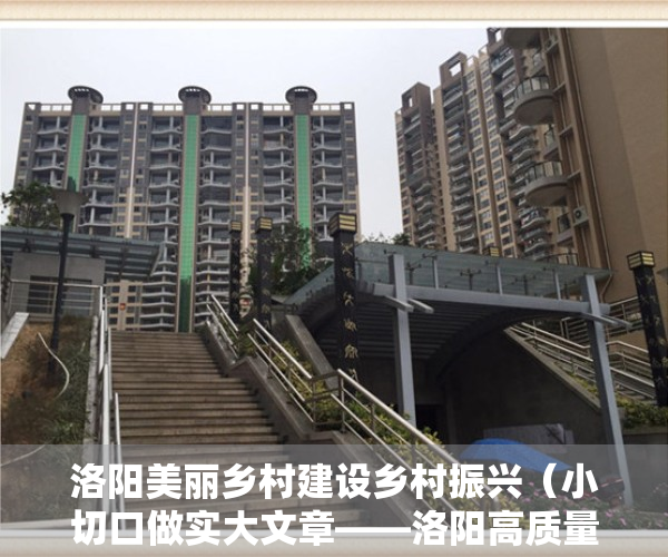洛阳美丽乡村建设乡村振兴（小切口做实大文章——洛阳高质量推进乡村振兴的创新实践）