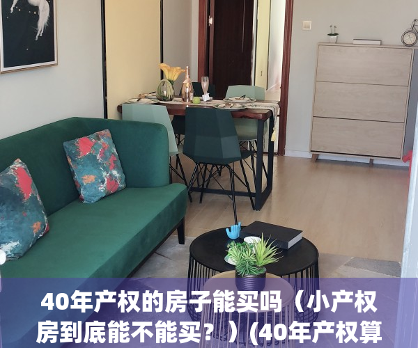40年产权的房子能买吗（小产权房到底能不能买？）(40年产权算小产权房吗)