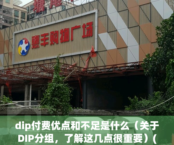 dip付费优点和不足是什么（关于DIP分组，了解这几点很重要）(dip付费是什么意思)
