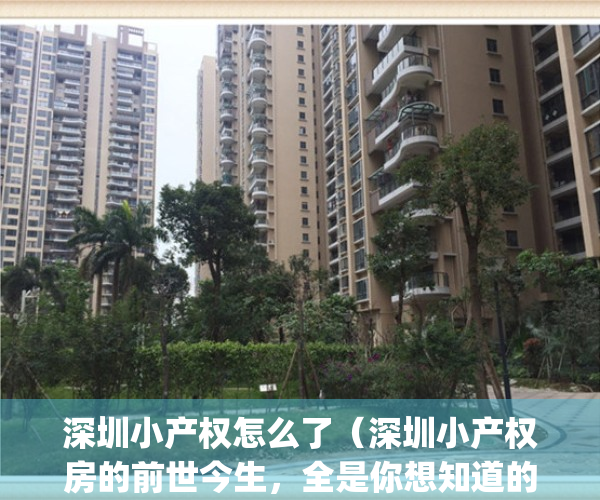深圳小产权怎么了（深圳小产权房的前世今生，全是你想知道的故事！）(深圳小产权走向)