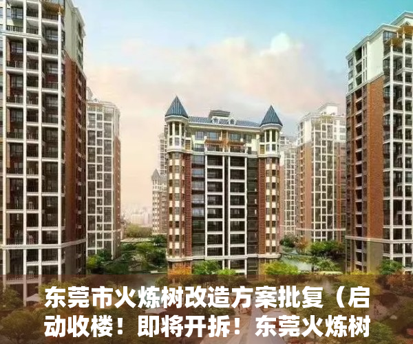 东莞市火炼树改造方案批复（启动收楼！即将开拆！东莞火炼树变身进行时）