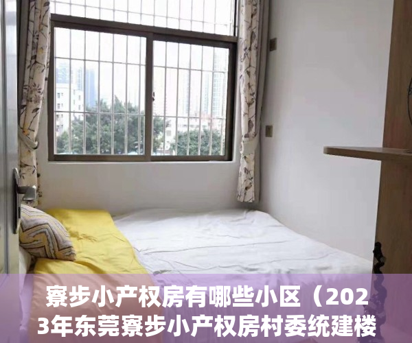 寮步小产权房有哪些小区（2023年东莞寮步小产权房村委统建楼新楼盘推荐！）